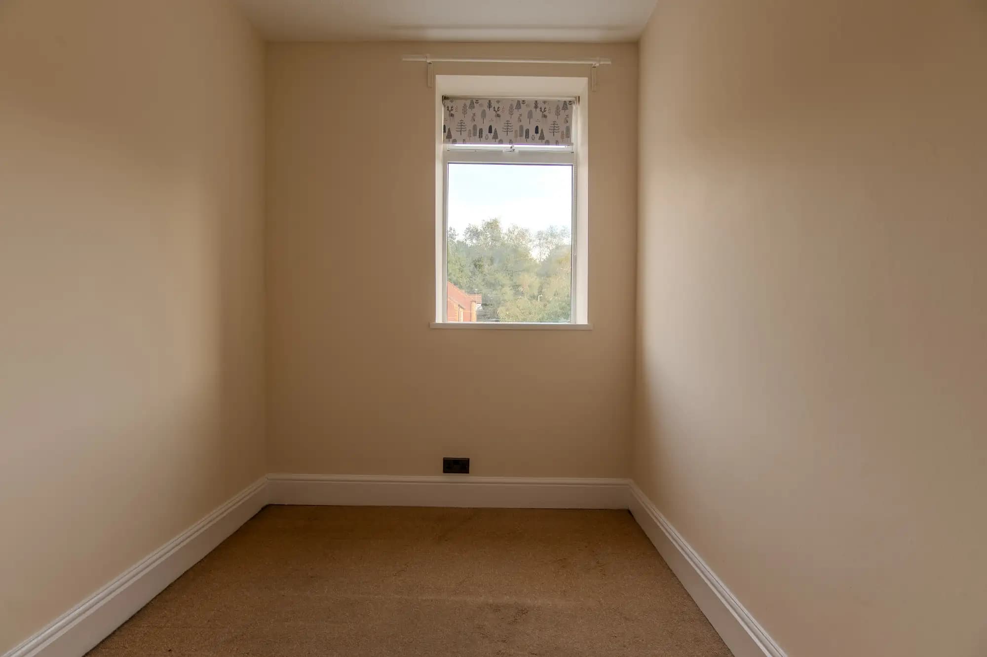 property photo 13 of 24